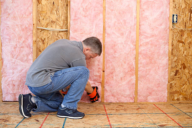 Best Insulation Contractors for Homes  in North Arlington, NJ